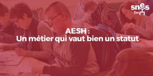 Indemnité compensatrice de la CSG : le SNES et le SNUIPP écrivent à Mme la (…)