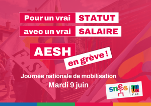 Mobilisation AESH le 9 juin !